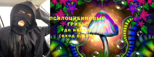 PSILOCYBIN Верхнеуральск